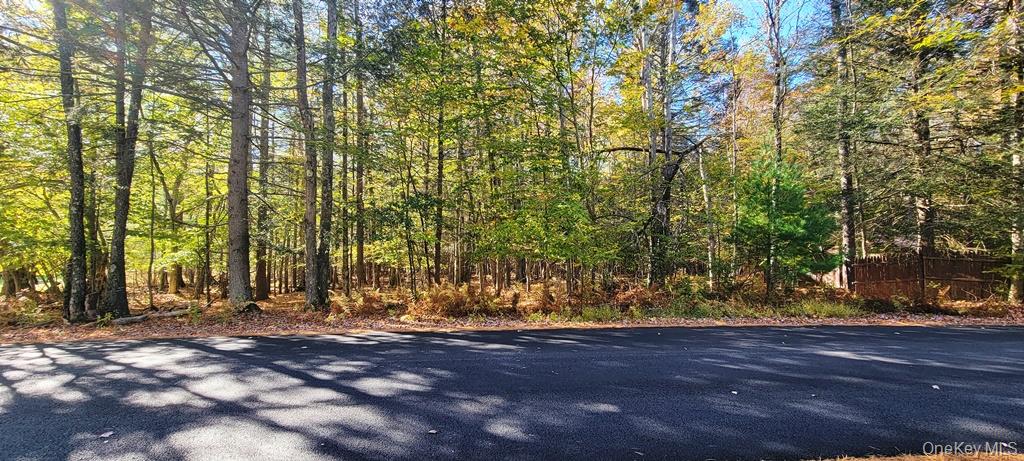 Moscoe Road Bethel, NY 12786 - Photo 6 of 13 a view of outdoor space with trees