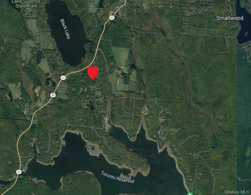 Moscoe Road Bethel, NY 12786 - Photo 7 of 13 a bird view of a bathroom