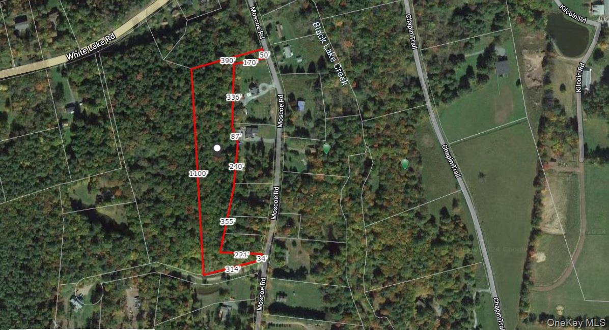 Moscoe Road Bethel, NY 12786 - Photo 8 of 13 a picture of a tree