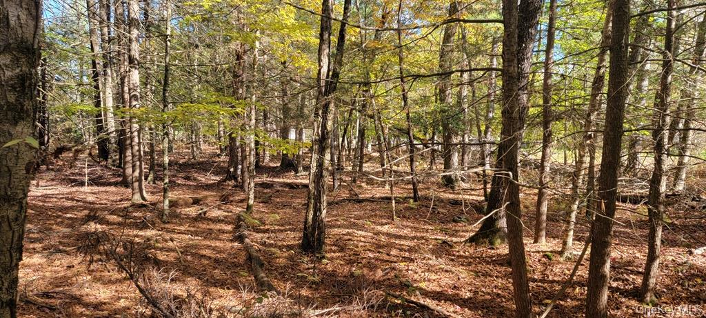 Moscoe Road Bethel, NY 12786 - Photo 10 of 13 a view of outdoor space
