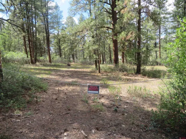 a fire hydrant in the middle of a forest