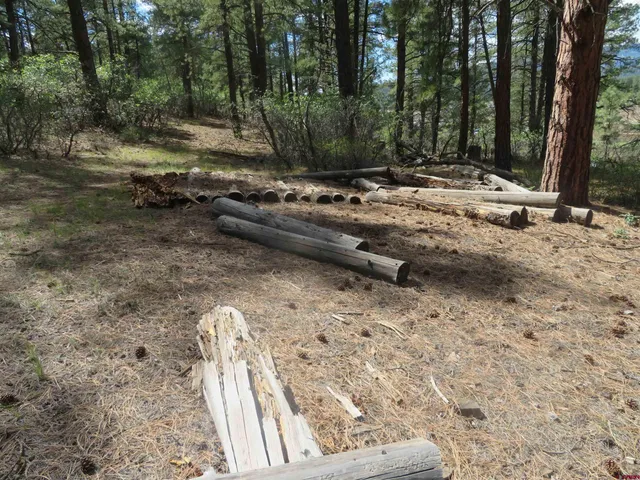 a backyard of a house with trees and houses