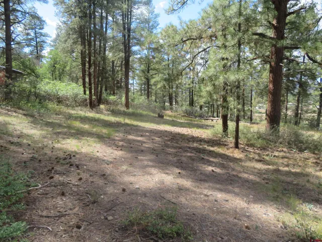 a view of outdoor space with trees
