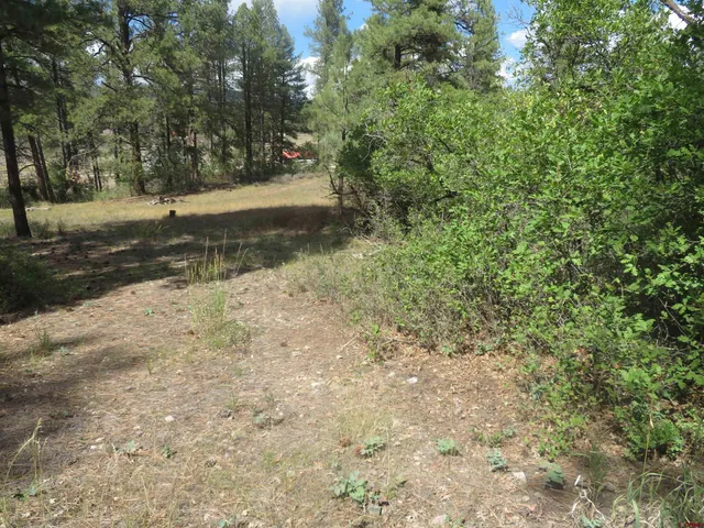 a view of a yard with an trees