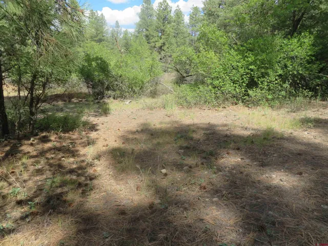 a view of a yard with a tree