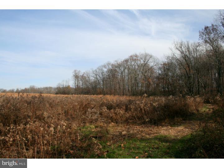 4280 Township Line Road Newtown, PA 18940 - Photo 14 of 25 Gallery Image 14