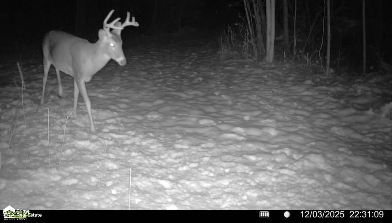 5498 Piersonville Road Columbiaville, MI 48421 - Photo 30 of 38