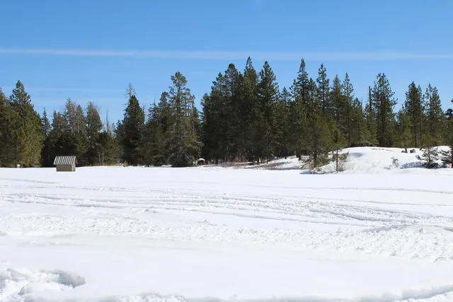 a view of a snow on the side of a road