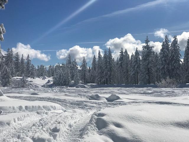 1140 Mountain View Road Arnold, CA 95223 - Photo 23 of 24 a view of a backyard of a house