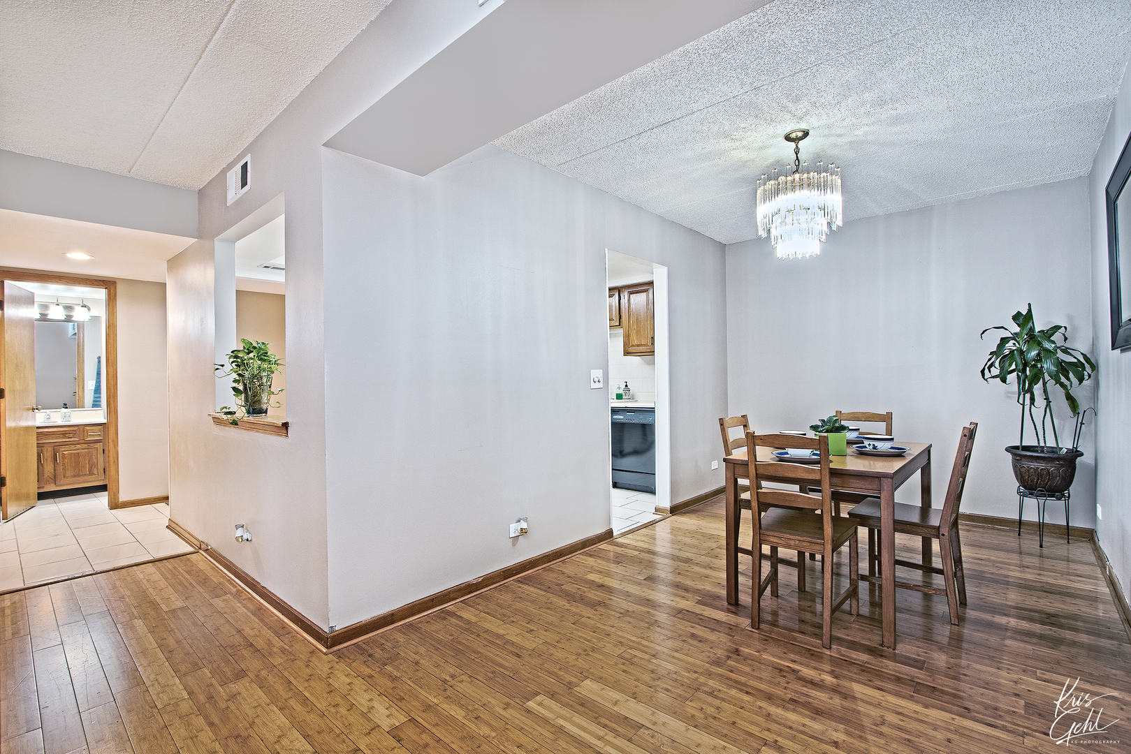 555 South River Road, Unit 402 Des Plaines, IL 60016 - Photo 9 of 22