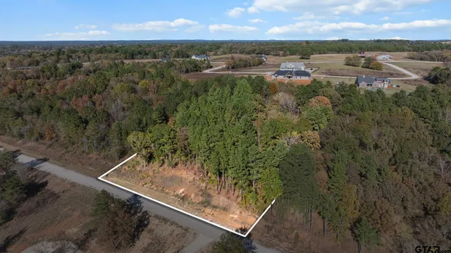 a view of a yard with lake view