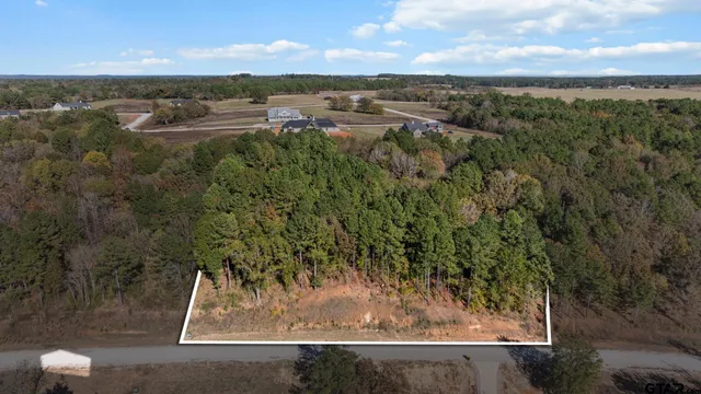 a view of a lake from a yard
