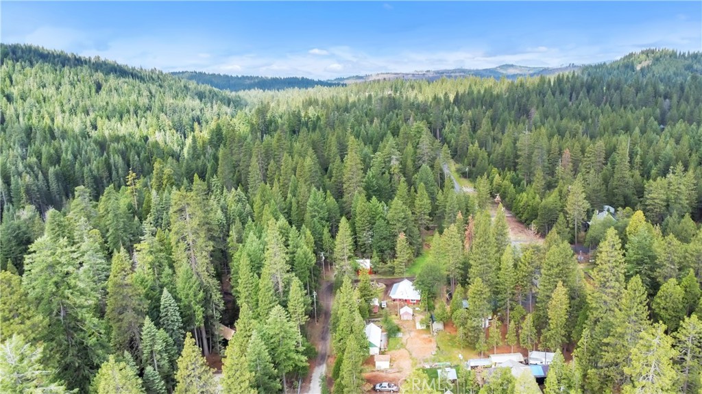 7515 Abner Lane Forest Ranch, CA 95942 - Photo 14 of 65