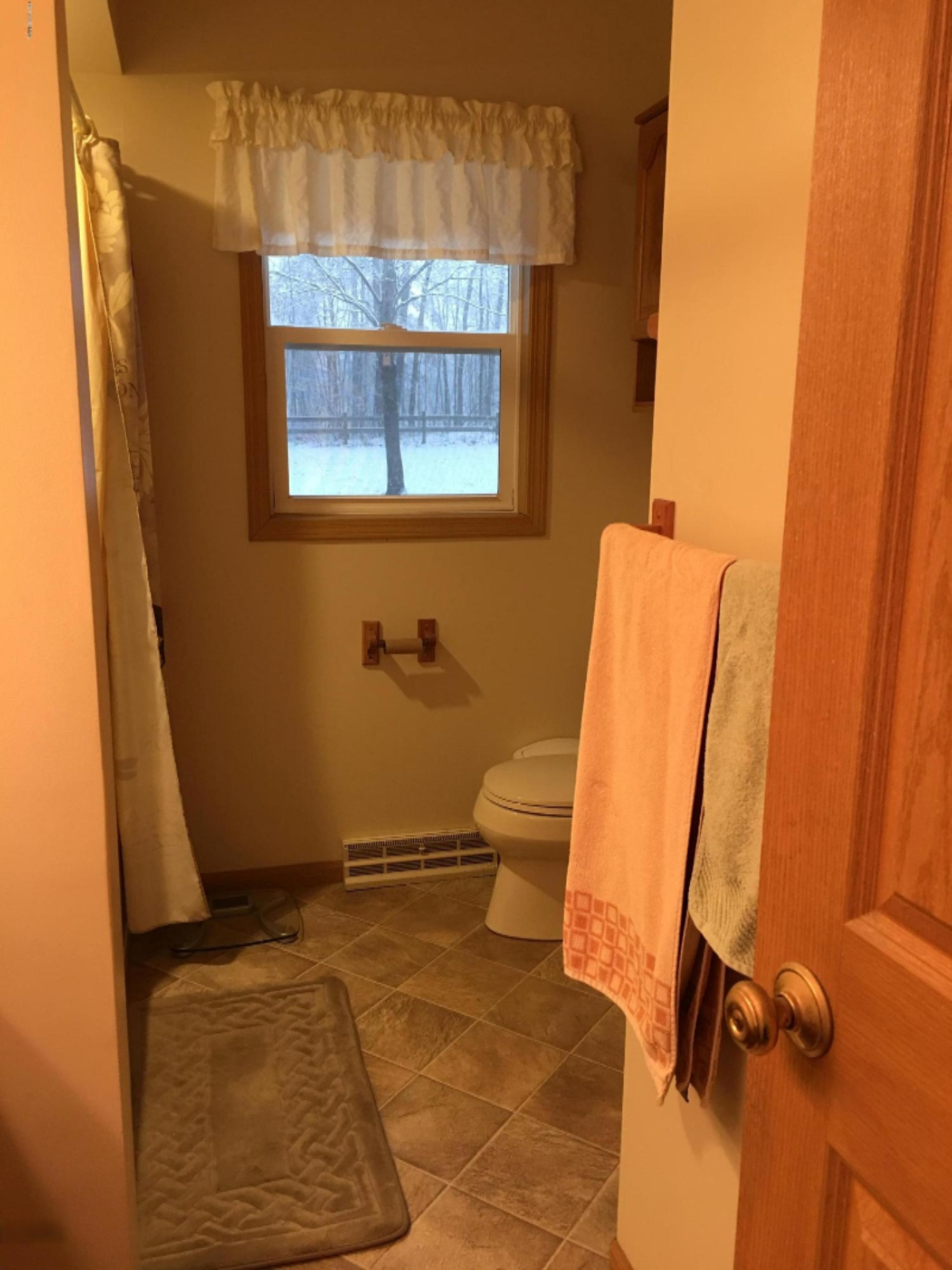 400 Whites Bridge Road Belding, MI 48809 - Photo 15 of 22 IMG_4002