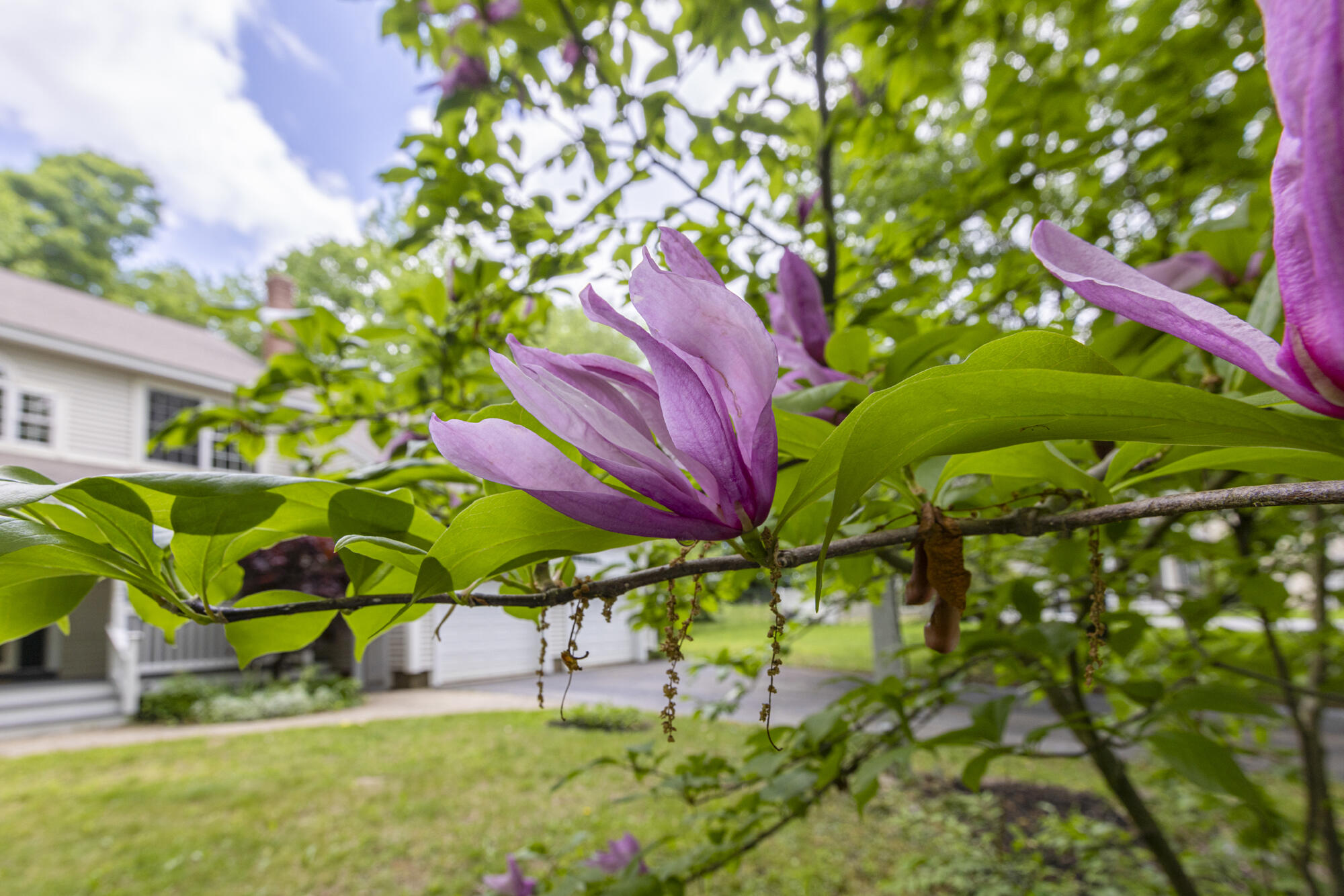 111 Gateway Commons Drive Gorham, ME 04038 - Photo 42 of 46 111 Gateway Commons_047