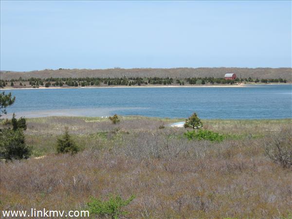 216 Middle Point Road West Tisbury, MA 02568 - Photo 19 of 21 http://d1qzqeyxiitrap.cloudfront.net/photos/21299/600/47157668.jpg