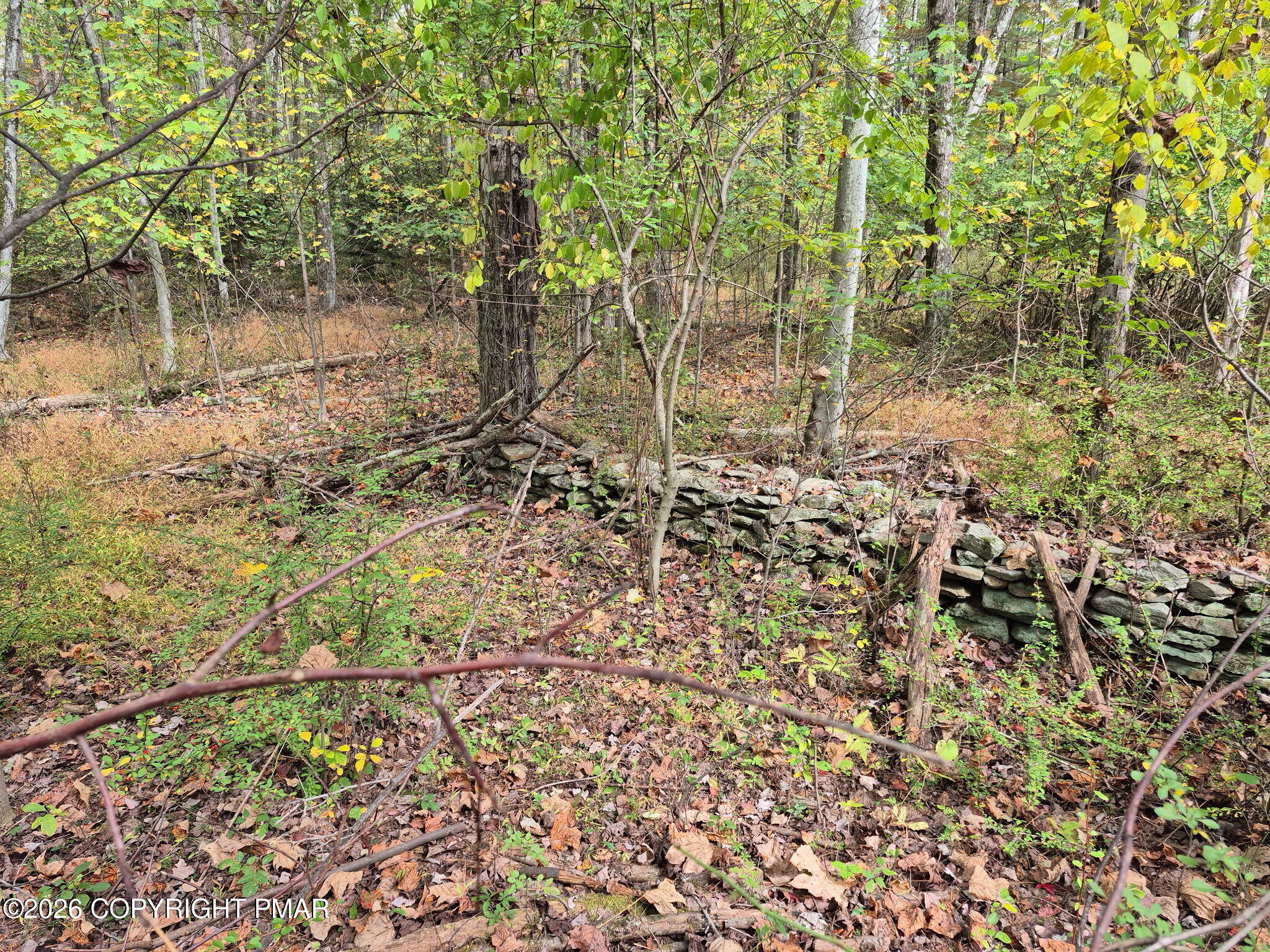 Millheim Road Bath, PA 18014 - Photo 3 of 10 2377887359101095156