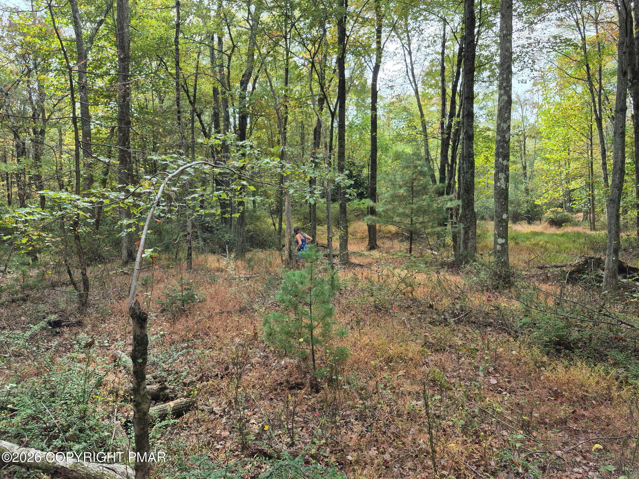 Millheim Road Bath, PA 18014 - Photo 7 of 10 5671767428364245807