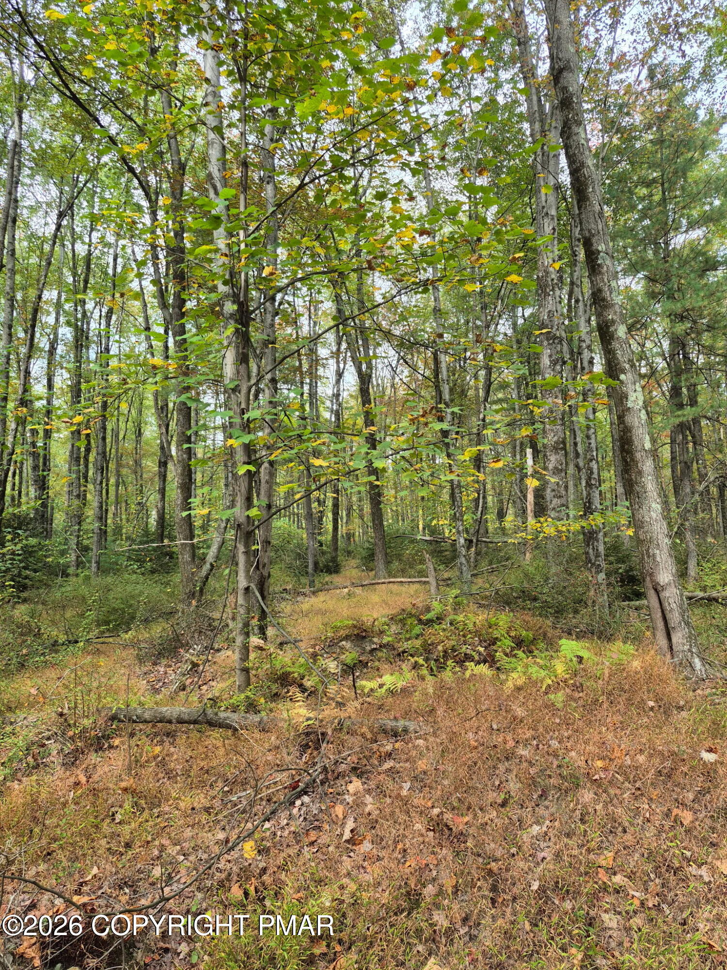 Millheim Road Bath, PA 18014 - Photo 8 of 10 7283024197878164053