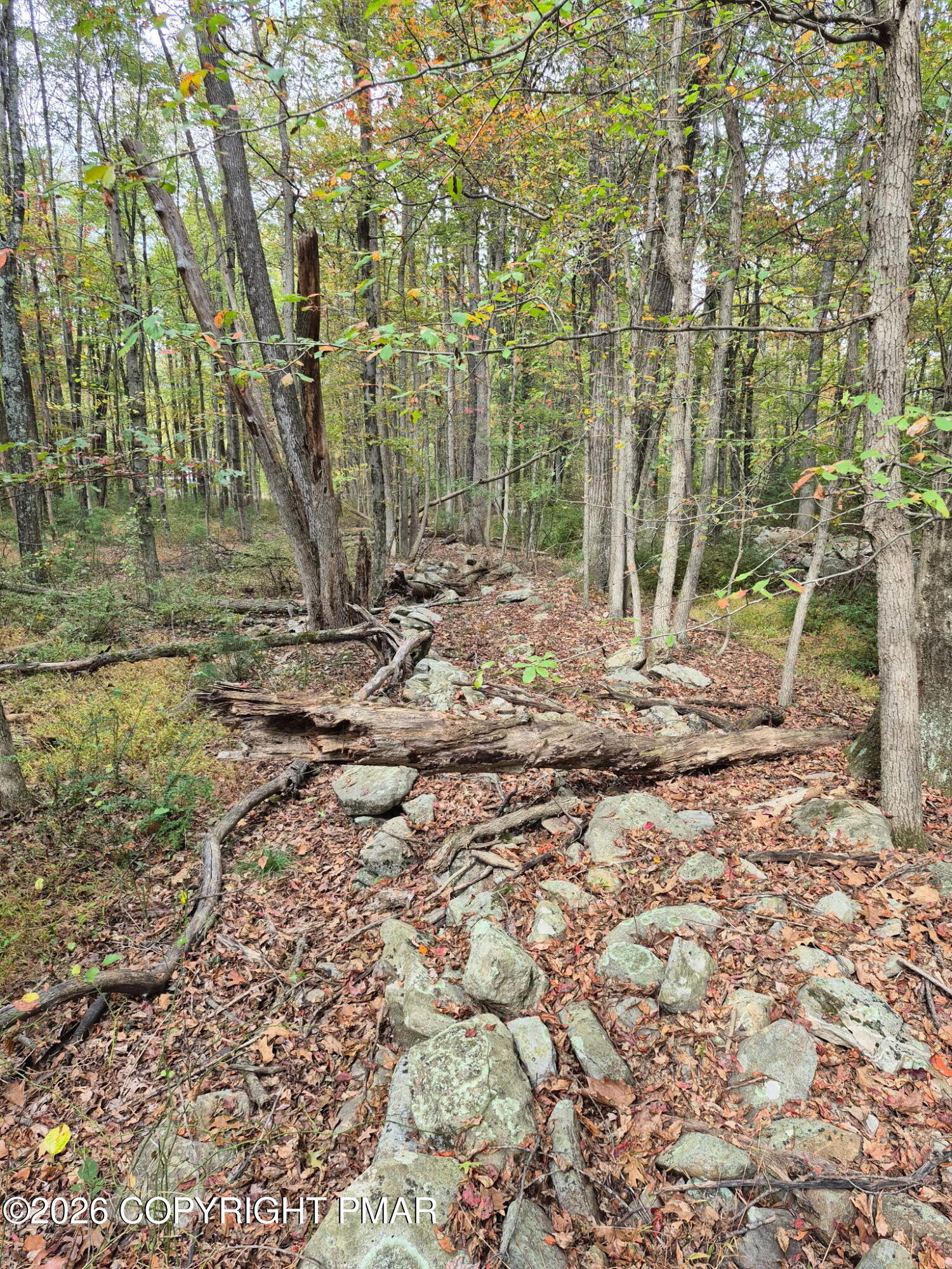 Millheim Road Bath, PA 18014 - Photo 9 of 10 8536769926250472719