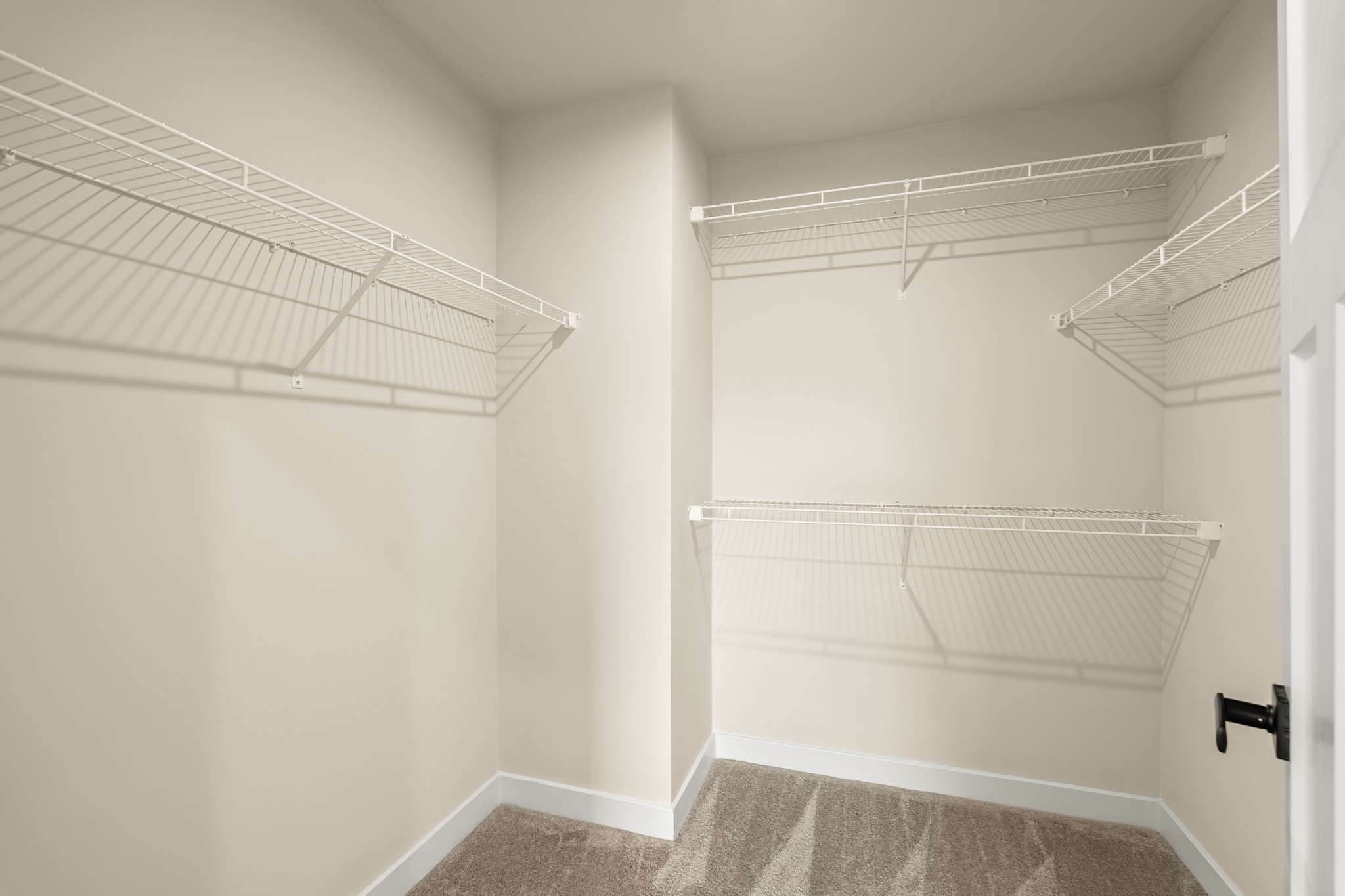 3029 Manchester Drive Spring Hill, TN 37174 - Photo 34 of 43