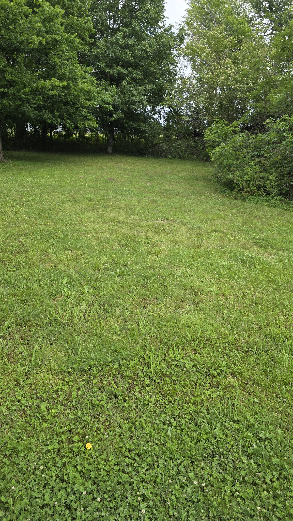 589 Scenic Road Lawrenceburg, TN 38464 - Photo 6 of 19 Gallery Image 6