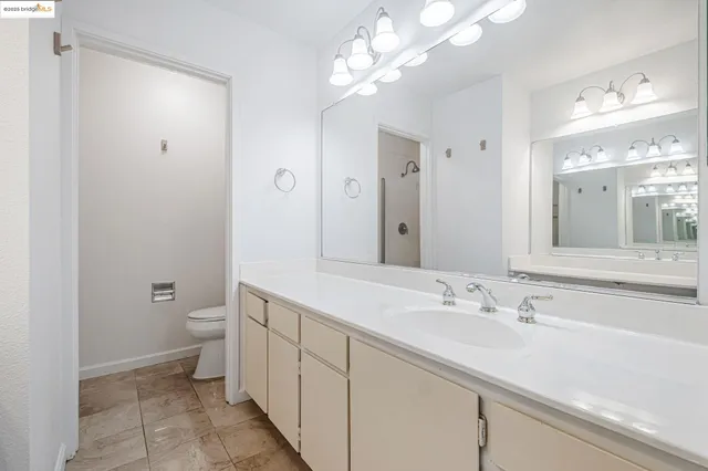 a bathroom with a sink a toilet and a large mirror