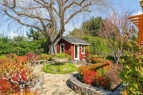 a view of a garden with plants