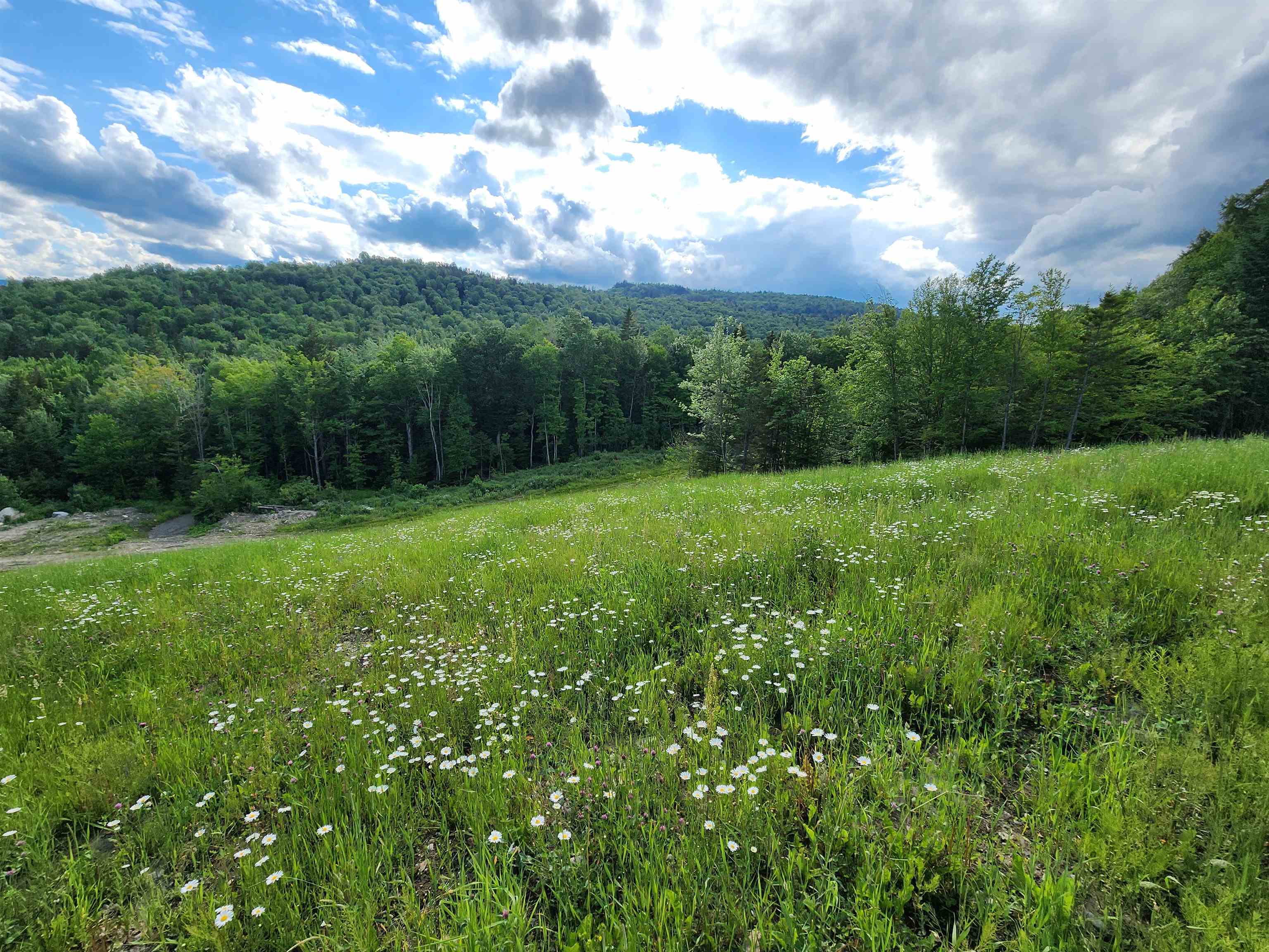 Lot 2 Ginnie Lane, Unit R02000100002 Errol, NH 03579 - Photo 11 of 32 Gallery Image 11