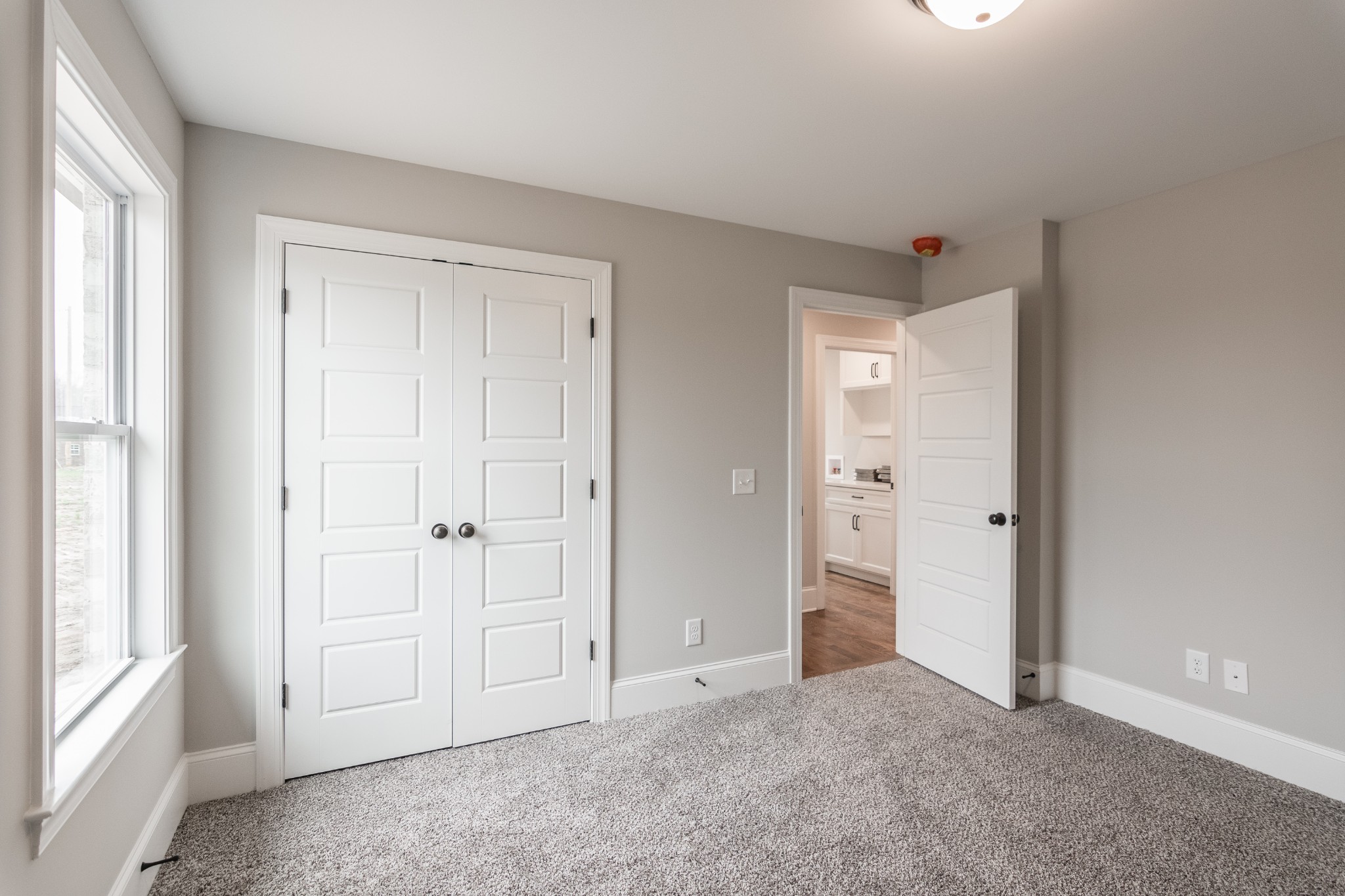 1227 Friendship Road Cross Plains, TN 37049 - Photo 25 of 28 an empty room with windows and closet