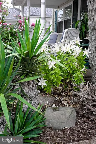 a view of a patio with table and chairs and potted plants
