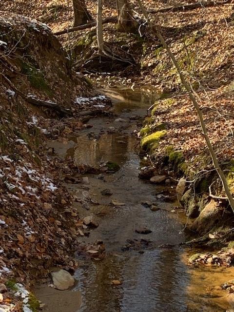 Little Creek Road, Unit 2C Pamplin, VA 23958 - Photo 2 of 4 Gallery Image 2