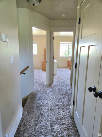601 West 150 North, Unit 25 Springville, UT 84663 - Photo 18 of 29 Carpeted hallway with white trim, leading to multiple rooms with windows