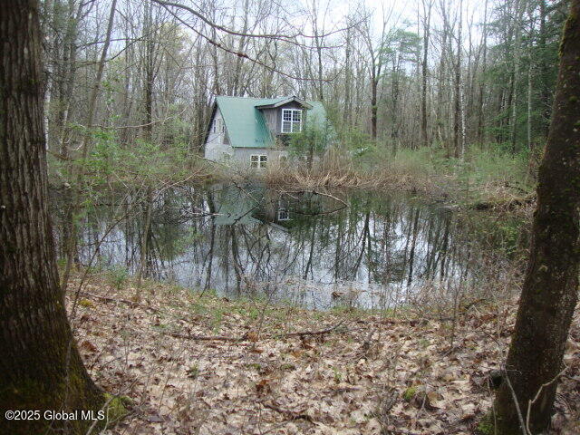 152 Fred Ottaway Road Middlefield, NY 13326 - Photo 2 of 7 DSC07631
