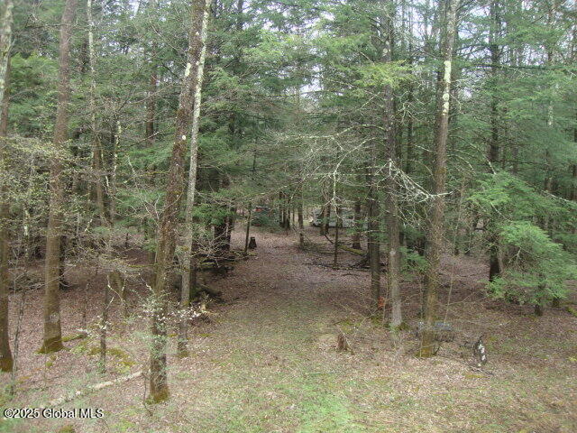 152 Fred Ottaway Road Middlefield, NY 13326 - Photo 5 of 7 DSC07636