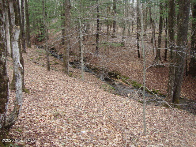 152 Fred Ottaway Road Middlefield, NY 13326 - Photo 6 of 7 DSC07639