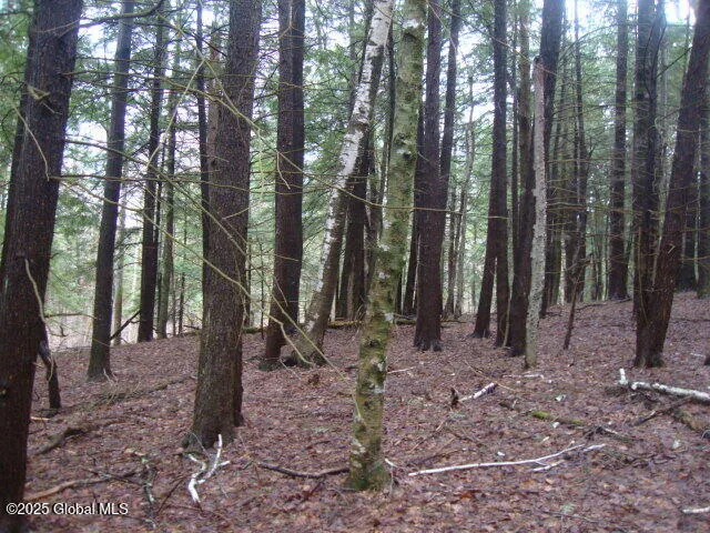 $169,000 | 152 Fred Ottaway Road, Middlefield, NY 13326