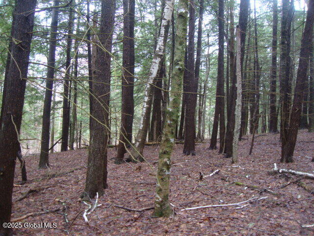 152 Fred Ottaway Road Middlefield, NY 13326 - Photo 7 of 7 DSC07641