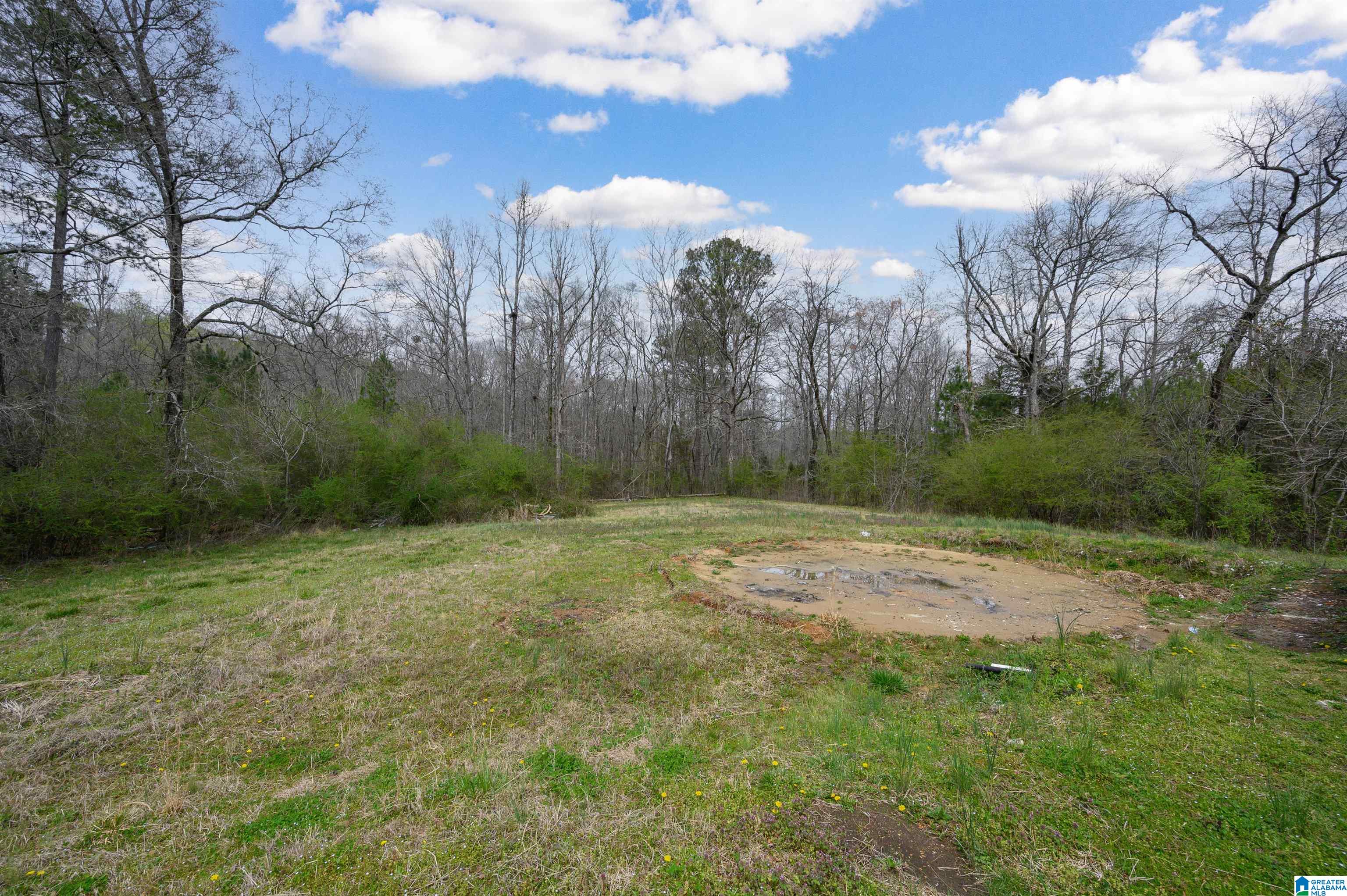 939 Refuge Road Ragland, AL 35131 - Photo 35 of 39 Gallery Image 35