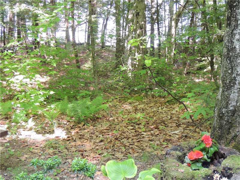 290 Hoffman Shr Road Palermo, ME 04354 - Photo 9 of 28 Land/Lot. It s all here, waiting for...