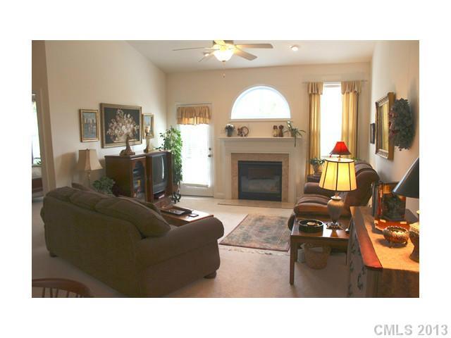 332 Garnet Court, Unit 528 Fort Mill, SC 29708 - Photo 6 of 16 a living room with furniture and a fireplace