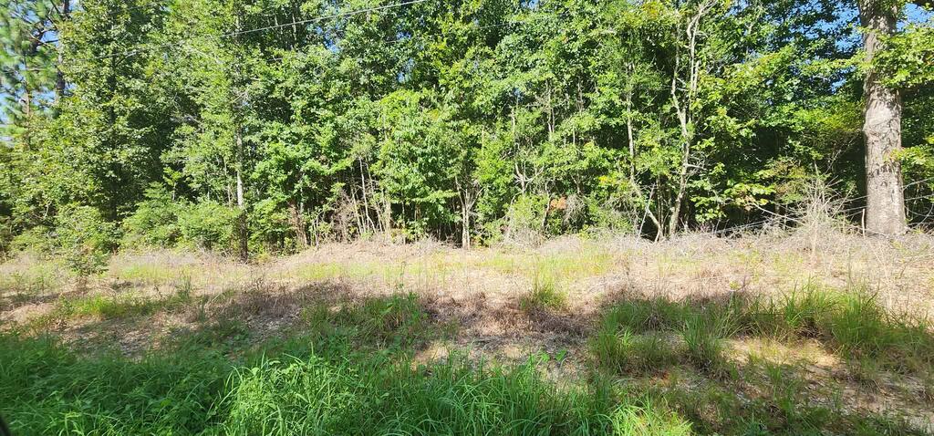 88 Morel Road Poplarville, MS 39470 - Photo 15 of 20 Gallery Image 15