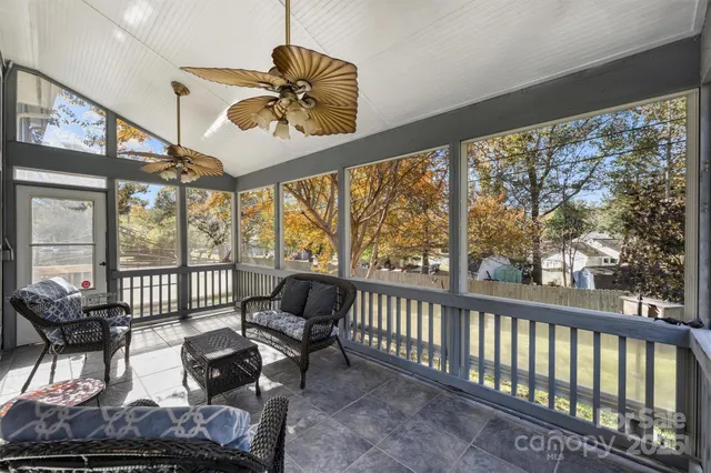 a view of backyard with tree