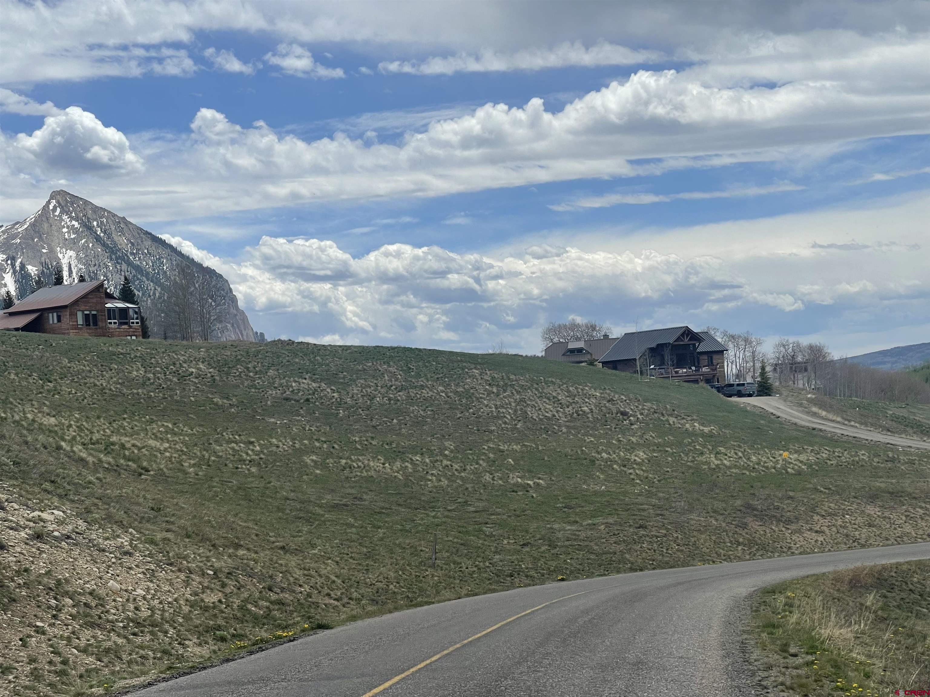 a view of a dry yard with wooden fence