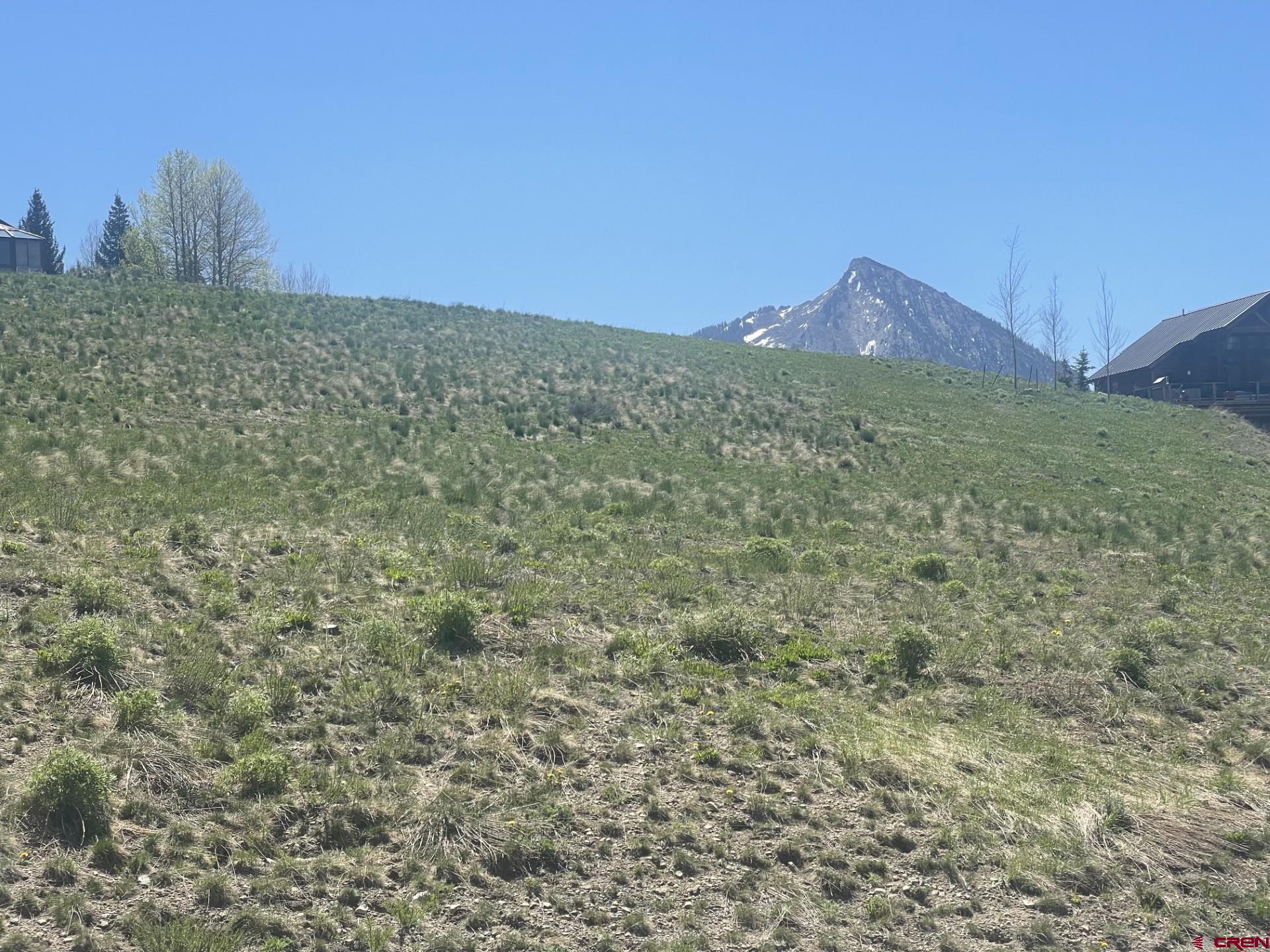 116 Meadow Drive Crested Butte, CO 81224 - Photo 11 of 20 a view of a field with mountains in the background