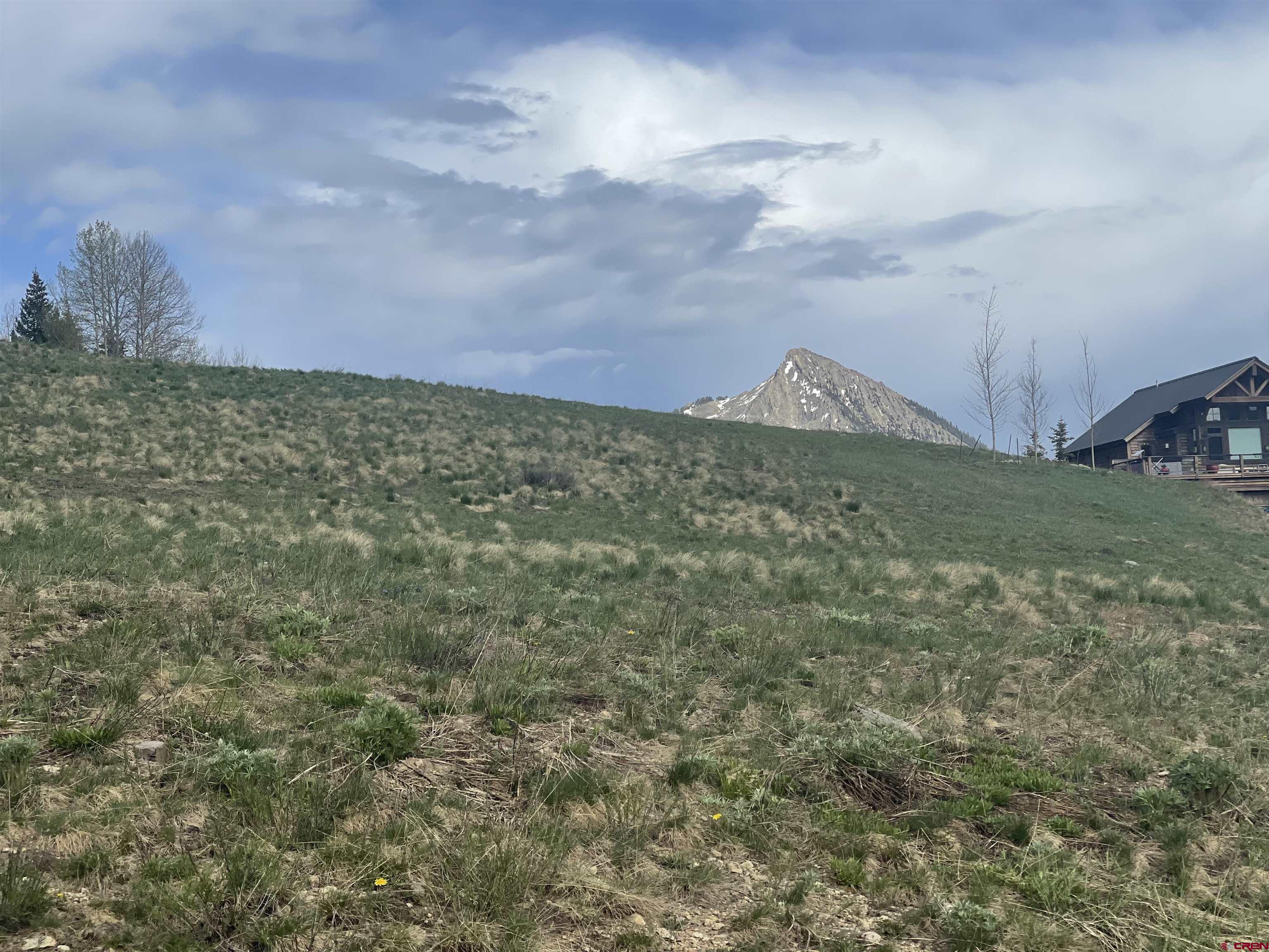 116 Meadow Drive Crested Butte, CO 81224 - Photo 15 of 20 a view of a pathway both side of grassy field with shrub