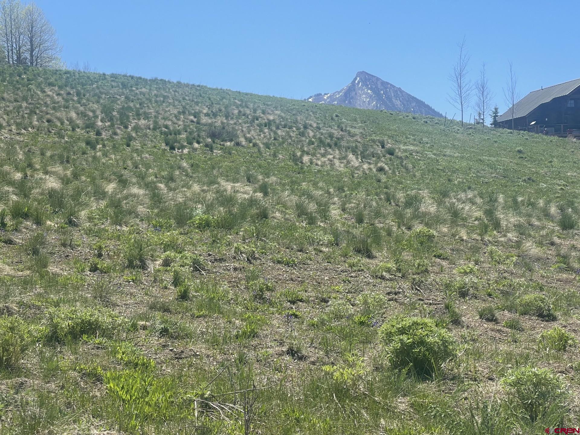 116 Meadow Drive Crested Butte, CO 81224 - Photo 20 of 20 a view of a field with an outdoor space