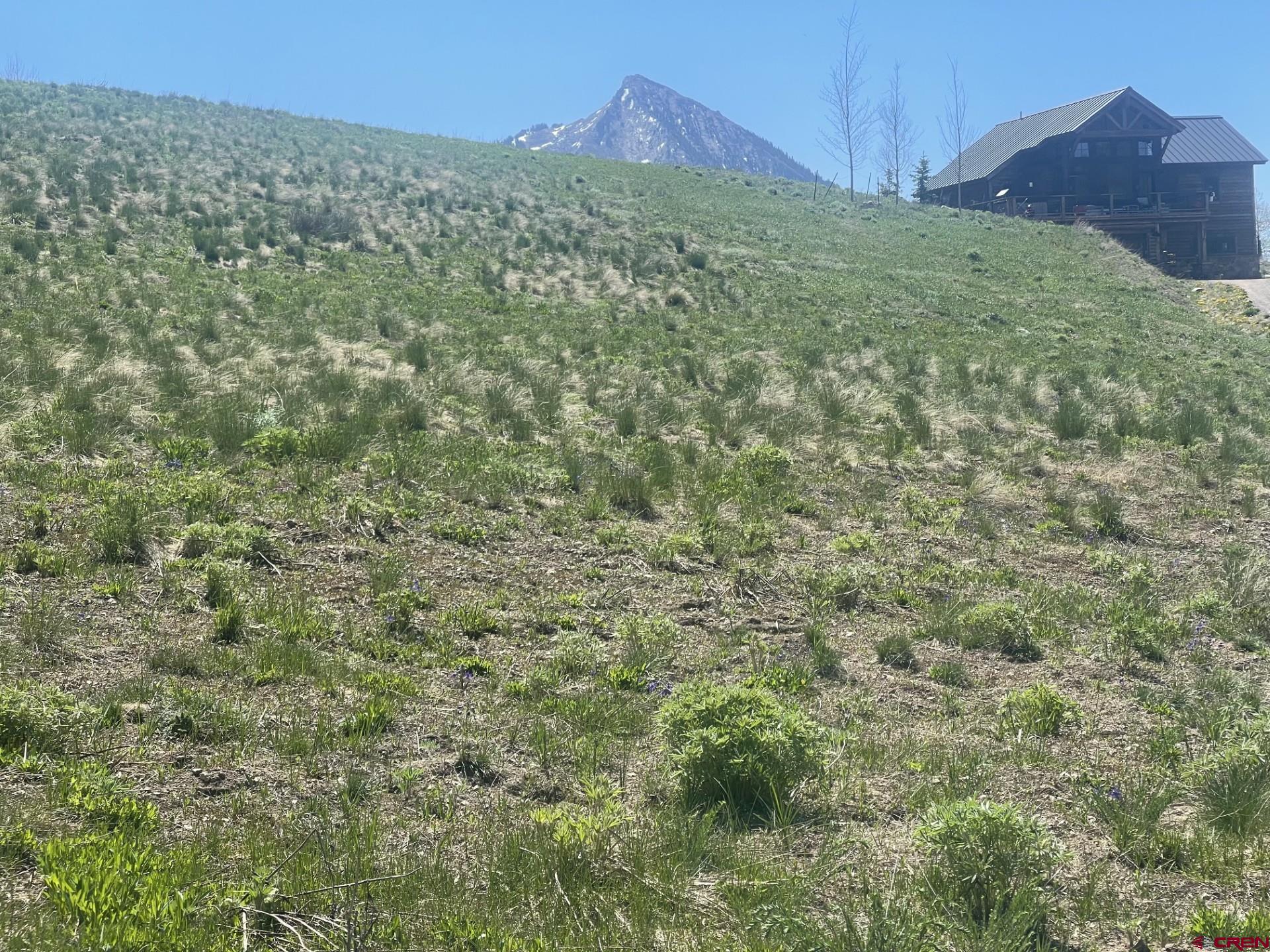 116 Meadow Drive Crested Butte, CO 81224 - Photo 3 of 20 a view of a field with an outdoor space