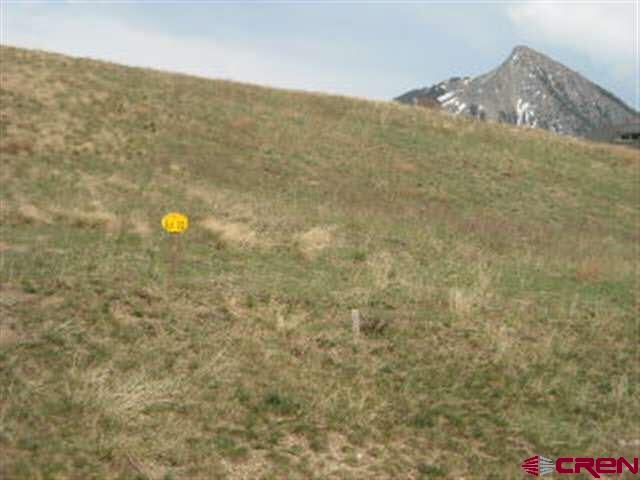 116 Meadow Drive Crested Butte, CO 81224 - Photo 4 of 20 a view of a dry yard with mountains in the background