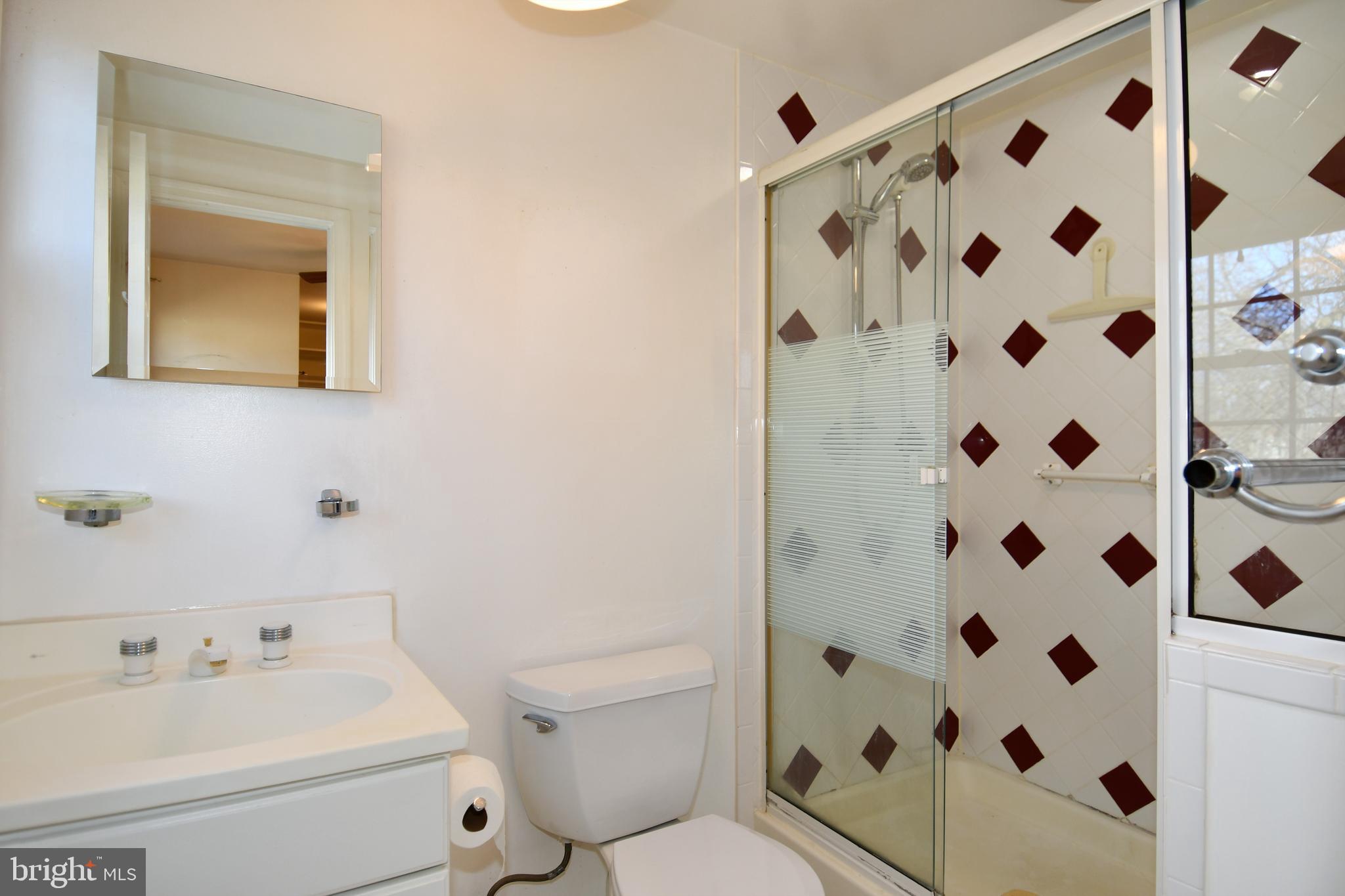 6 Beechvue Court Silver Spring, MD 20906 - Photo 25 of 42 Primary bathroom